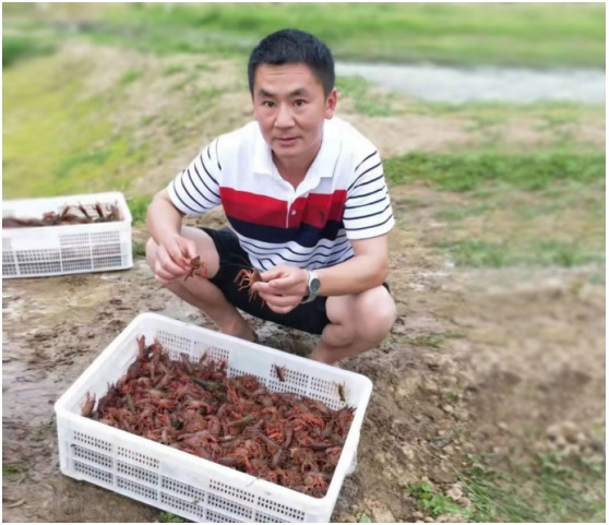 贵州沿河金龙虾种养公司积极推进生态产业发展