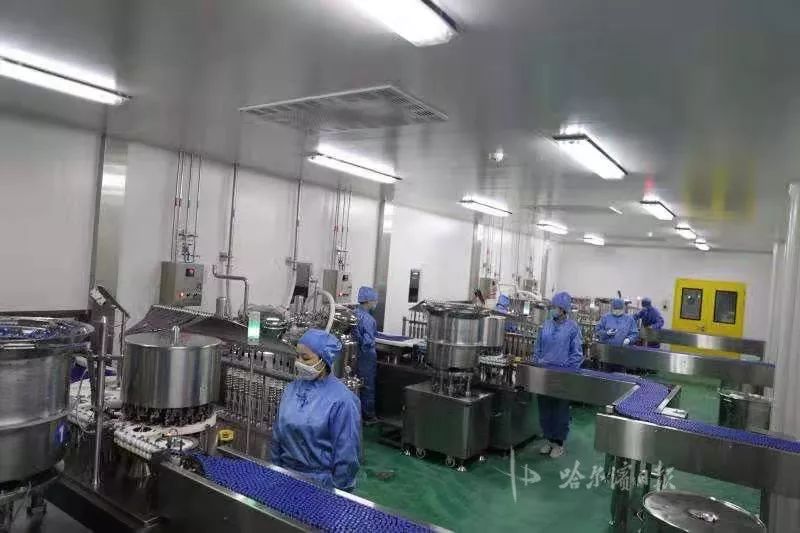 “双黄连”被纳入新冠病毒防治方案 | 哈药集团加班生产日产130万支