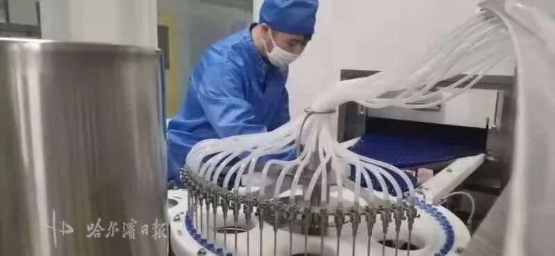 “双黄连”被纳入新冠病毒防治方案 | 哈药集团加班生产日产130万支