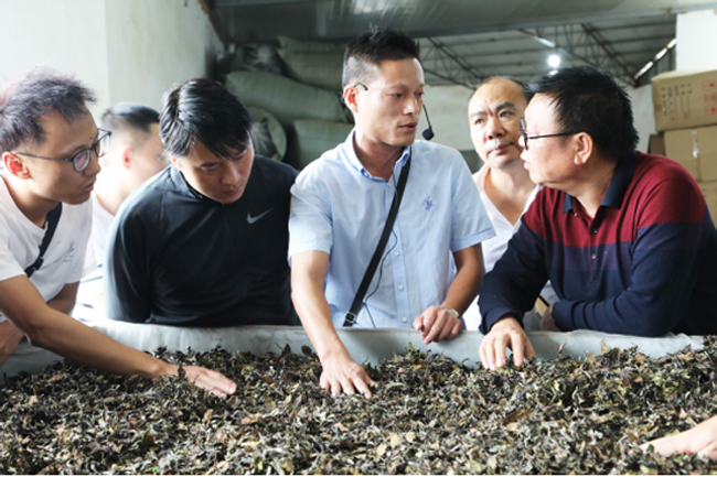 千里取“茶” 做优茶品 纳雍“茶道”茶产业发展专题培训班在浙江、福建举行