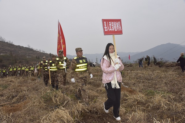军民齐心植树忙 携手共建生态林――贵州省普安县200余名民兵参加植树造林活动